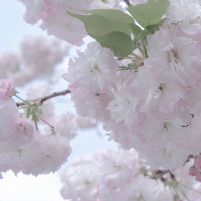 云冈FurryQQ群介绍